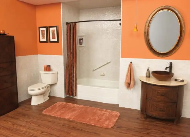 Bathtub vs a Tub Liner