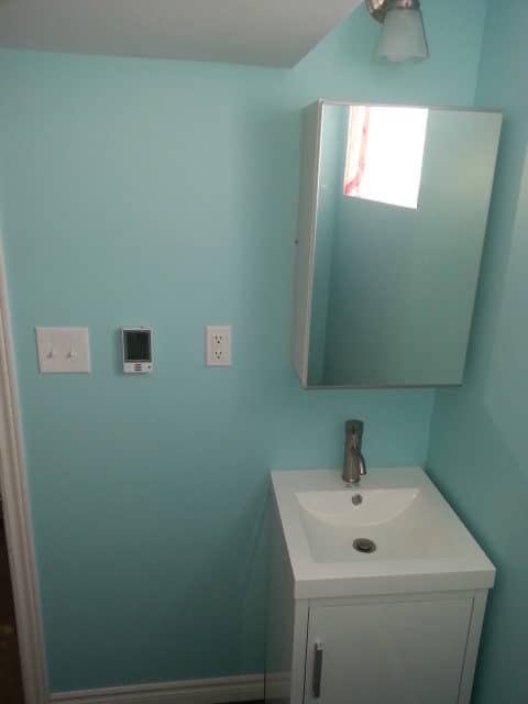 Basement Bathroom Renovation Ottawa - Georgina Drive