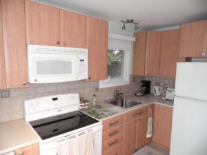 Kitchen Renovation Ottawa - Eastvale Drive