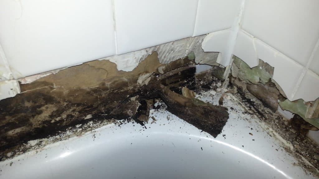 Reason not to use drywall behind shower or bathtub walls
