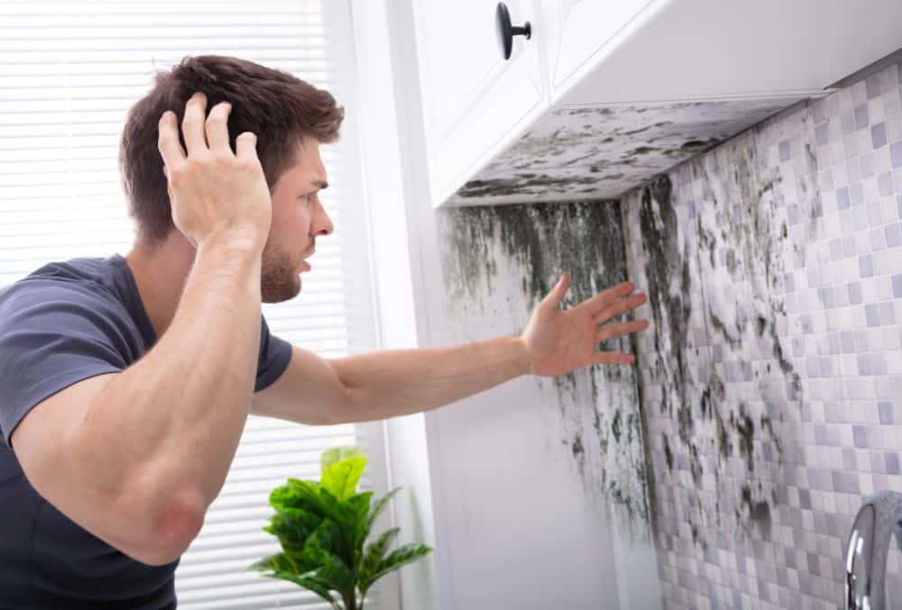 How to Prevent Mold & Mildew Growth Following a Bathroom Renovation