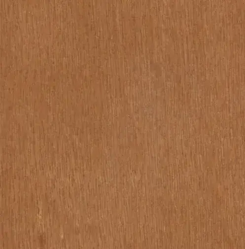 Cinnamon